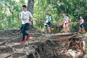 BIB: 
                            <button type="button" onclick="openModal(27719434)" class="btn btn-primary btn-sm float-right btn-popup" data-toggle="modal" data-target=".modal-high-quality">
                        <i class="fas fa-shopping-cart"></i> Add to Cart
                    </button>
                                            <button type="button" onclick="isThisMe(27719434, true)" class="btn btn-success btn-sm float-right btn-popup btn-isme hidden" data-toggle="tooltip" data-placement="bottom" title="นี่คือรูปของคุณใช่ไหม คลิกที่นี่เพื่อเอาเข้าอัลบั้ม">
                        <i class="fas fa-plus"></i> Add to album
                    </button>
                    <button type="button" onclick="isThisMe(27719434, false)" class="btn btn-warning btn-sm float-right btn-popup btn-isnotme hidden">
                        <i class="fas fa-ban"></i> Remove from album
                    </button>